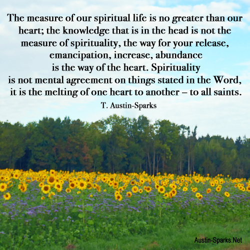 Read more about the article Spirituality