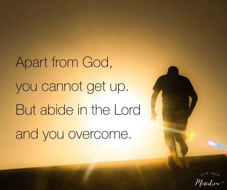 Read more about the article Overcomer