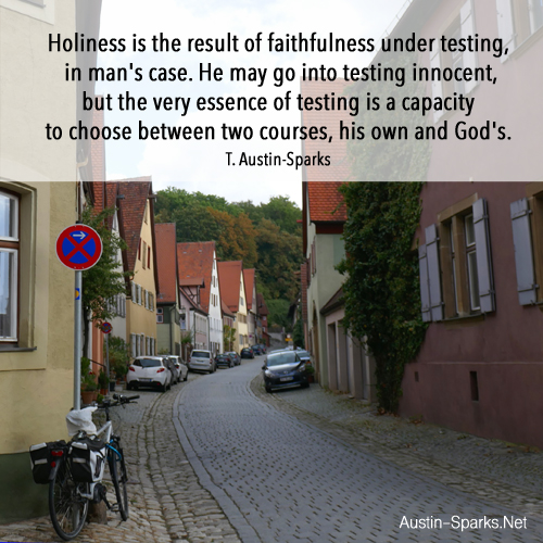 Read more about the article Holiness